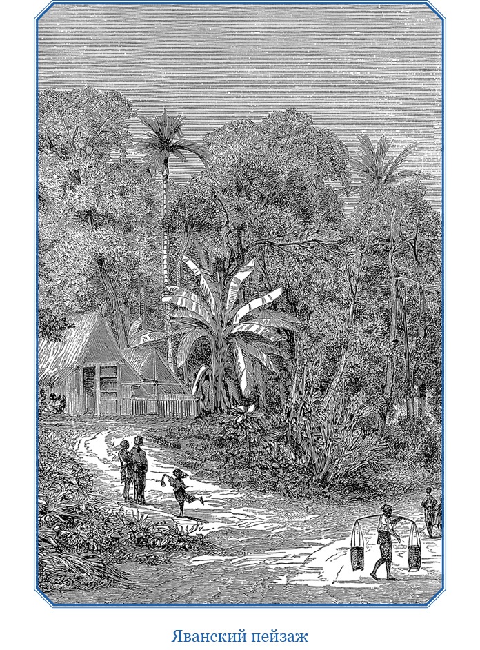 Иллюстрация к книге — Путешествие Магеллана [i_111.jpg]