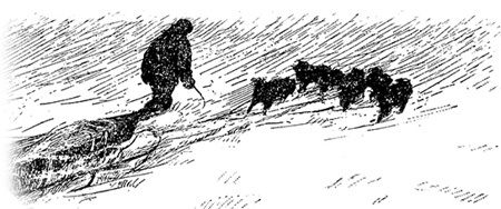 Иллюстрация к книге — По большому льду. Северный полюс [i_021.jpg]