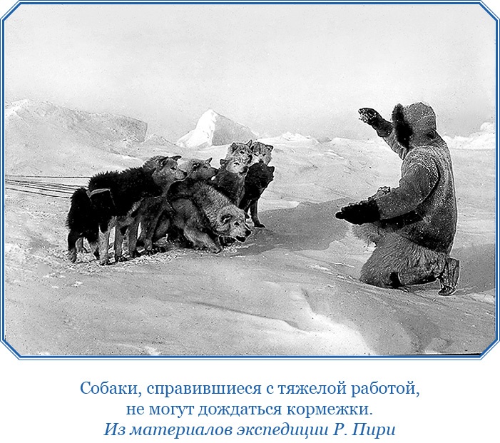 Иллюстрация к книге — По большому льду. Северный полюс [i_052.jpg]