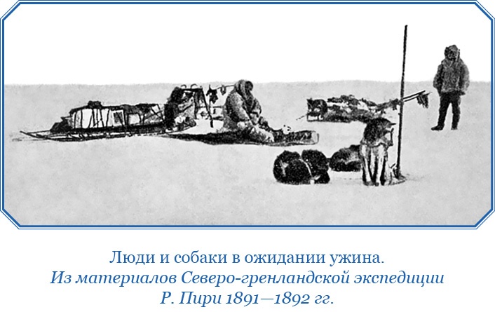 Иллюстрация к книге — По большому льду. Северный полюс [i_057.jpg]