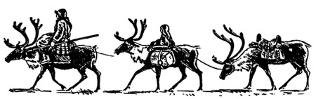 Иллюстрация к книге — По большому льду. Северный полюс [i_092.jpg]