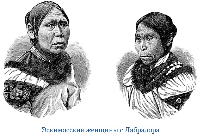 Иллюстрация к книге — По большому льду. Северный полюс [i_110.jpg]