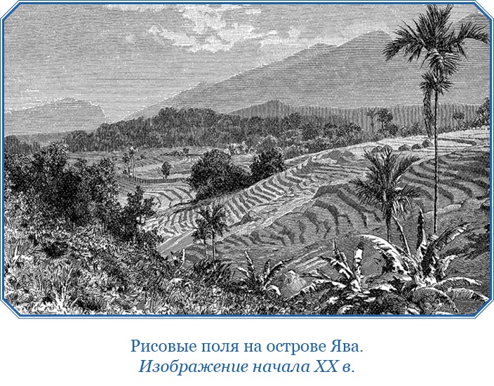 Иллюстрация к книге — Книга чудес света [i_112.jpg]