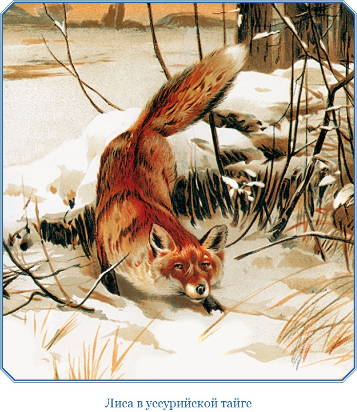 Иллюстрация к книге — Путешествия в Центральной Азии [i_011.jpg]