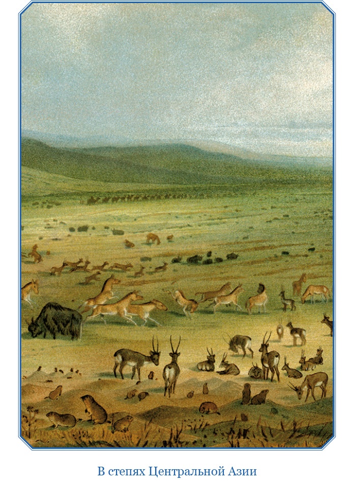 Иллюстрация к книге — Путешествия в Центральной Азии [i_024.jpg]
