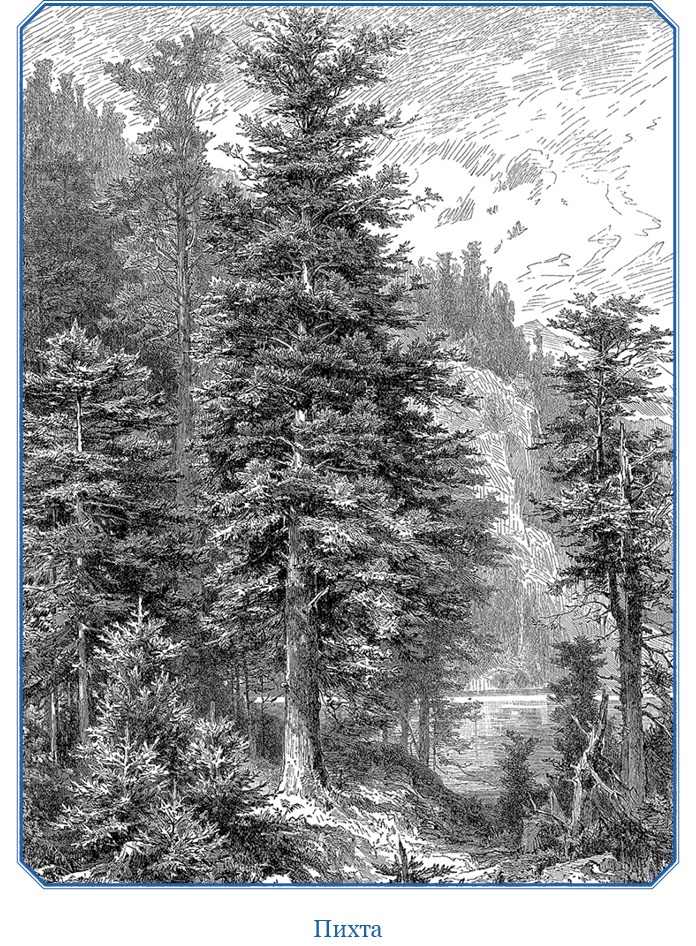 Иллюстрация к книге — Путешествия в Центральной Азии [i_035.jpg]