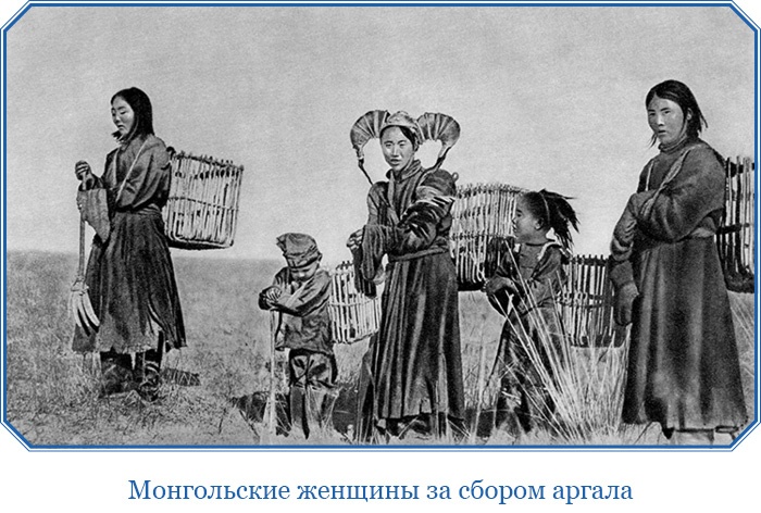 Иллюстрация к книге — Путешествия в Центральной Азии [i_054.jpg]