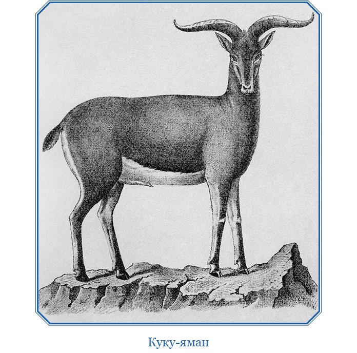 Иллюстрация к книге — Путешествия в Центральной Азии [i_087.jpg]