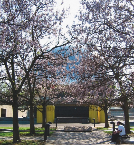 Иллюстрация к книге — Прекрасная Франция [i_055.jpg]