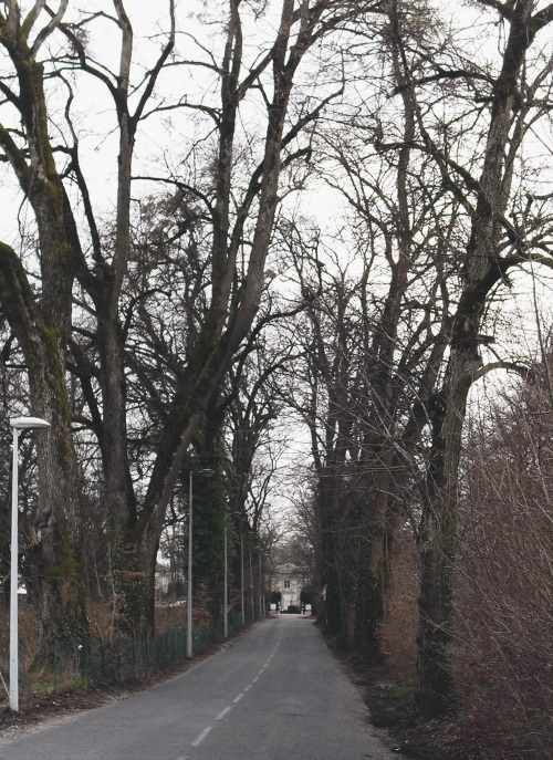 Иллюстрация к книге — Прекрасная Франция [i_113.jpg]