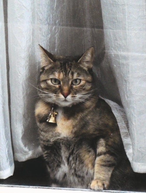 Иллюстрация к книге — Прекрасная Франция [i_129.jpg]