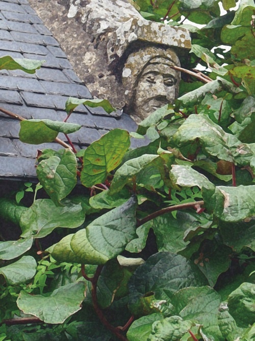 Иллюстрация к книге — Прекрасная Франция [i_137.jpg]