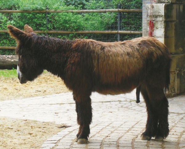 Иллюстрация к книге — Прекрасная Франция [i_142.jpg]