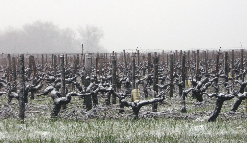 Иллюстрация к книге — Прекрасная Франция [i_146.jpg]