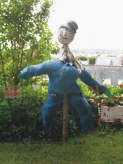 Иллюстрация к книге — Прекрасная Франция [i_168.jpg]