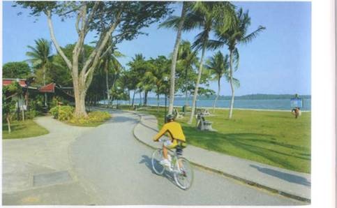 Иллюстрация к книге — Сингапур. Восьмое чудо света [i_006.jpg]