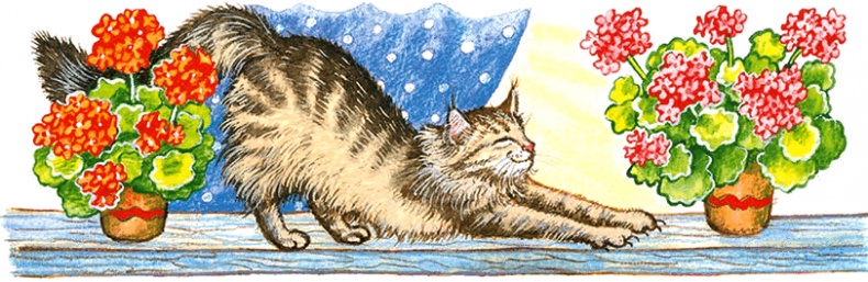 Иллюстрация к книге — Новые приключения кошки Нюси. Сокровища короля Андраша [i_001.jpg]