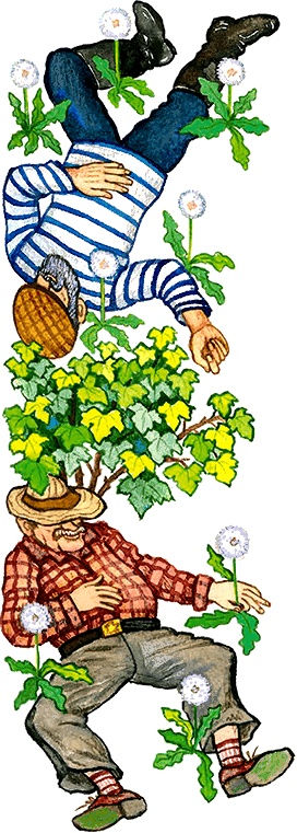 Иллюстрация к книге — Новые приключения кошки Нюси. Сокровища короля Андраша [i_010.jpg]