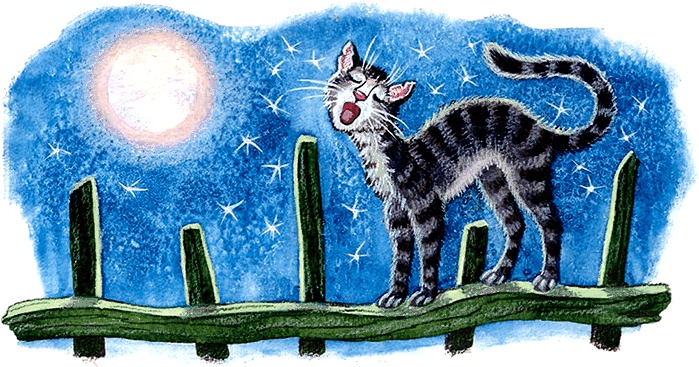 Иллюстрация к книге — Новые приключения кошки Нюси. Сокровища короля Андраша [i_011.jpg]