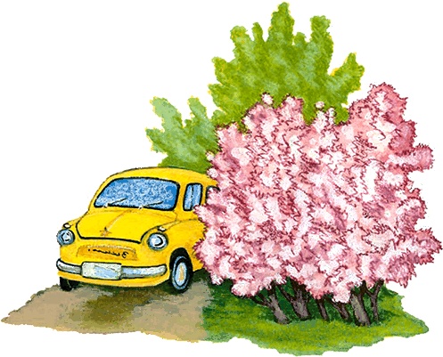 Иллюстрация к книге — Новые приключения кошки Нюси. Сокровища короля Андраша [i_013.jpg]