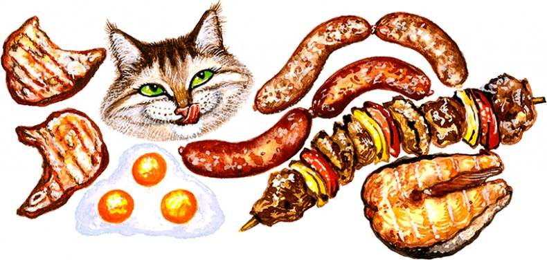 Иллюстрация к книге — Новые приключения кошки Нюси. Сокровища короля Андраша [i_034.jpg]