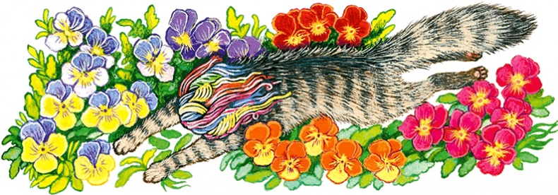 Иллюстрация к книге — Новые приключения кошки Нюси. Сокровища короля Андраша [i_045.jpg]