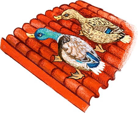 Иллюстрация к книге — Новые приключения кошки Нюси. Сокровища короля Андраша [i_060.jpg]