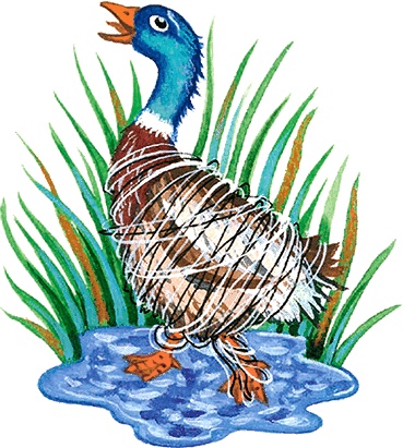 Иллюстрация к книге — Новые приключения кошки Нюси. Сокровища короля Андраша [i_061.jpg]