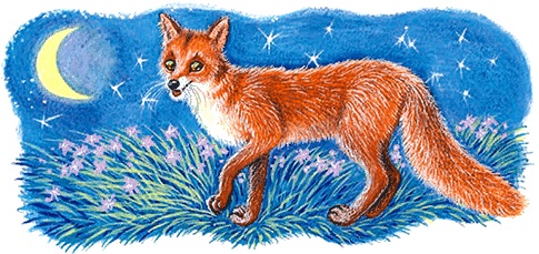 Иллюстрация к книге — Новые приключения кошки Нюси. Сокровища короля Андраша [i_067.jpg]