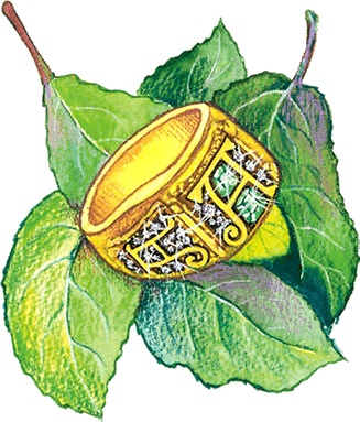 Иллюстрация к книге — Новые приключения кошки Нюси. Сокровища короля Андраша [i_072.jpg]