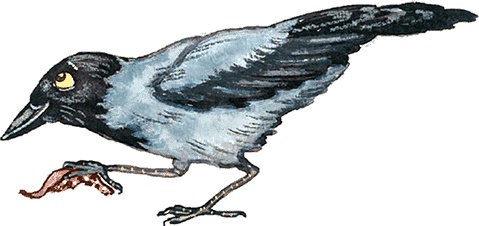 Иллюстрация к книге — Новые приключения кошки Нюси. Сокровища короля Андраша [i_077.jpg]