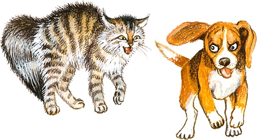 Иллюстрация к книге — Новые приключения кошки Нюси. Сокровища короля Андраша [i_082.jpg]