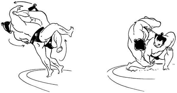 Иллюстрация к книге — Секреты самураев. Боевые искусства феодальной Японии [i_210.jpg]