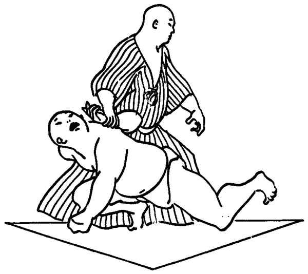 Иллюстрация к книге — Секреты самураев. Боевые искусства феодальной Японии [i_213.jpg]