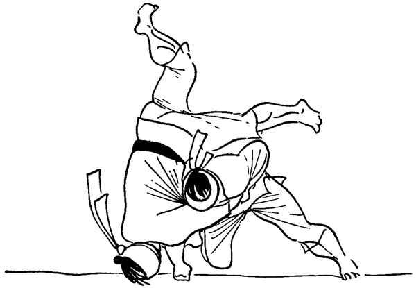 Иллюстрация к книге — Секреты самураев. Боевые искусства феодальной Японии [i_215.jpg]