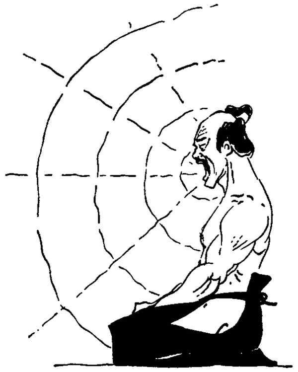 Иллюстрация к книге — Секреты самураев. Боевые искусства феодальной Японии [i_227.jpg]