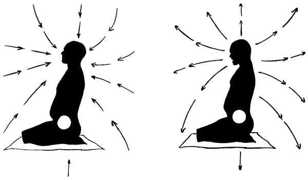 Иллюстрация к книге — Секреты самураев. Боевые искусства феодальной Японии [i_232.jpg]