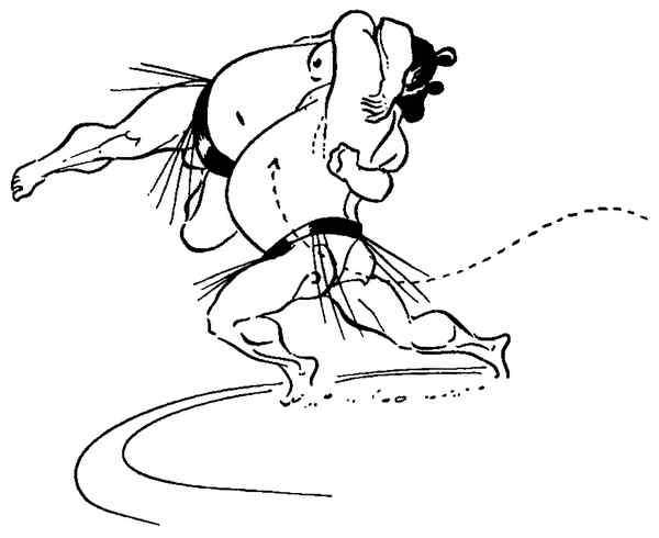 Иллюстрация к книге — Секреты самураев. Боевые искусства феодальной Японии [i_243.jpg]