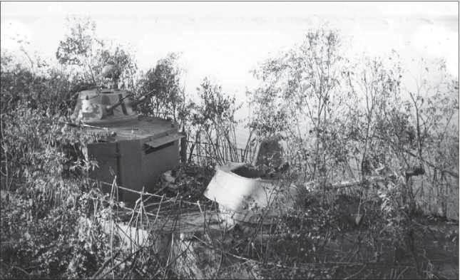 Иллюстрация к книге — Бронекатера Сталина. &quot;Речные танки&quot; Великой Отечественной [i_060.jpg]