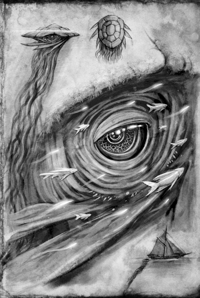 Иллюстрация к книге — Архив Буресвета. Кн. 2. Слова сияния [i_007.jpg]