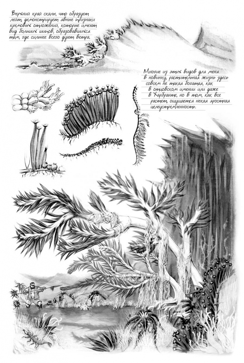 Иллюстрация к книге — Архив Буресвета. Кн. 2. Слова сияния [i_044.jpg]