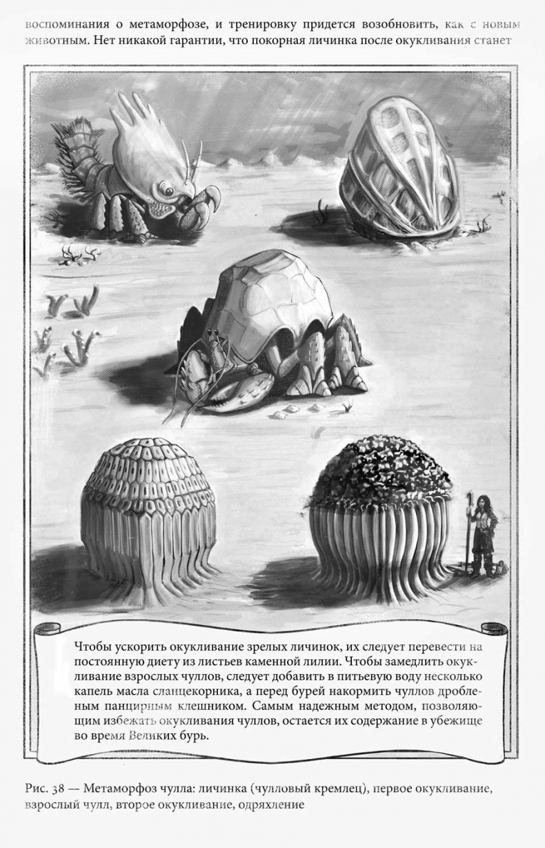 Иллюстрация к книге — Архив Буресвета. Кн. 2. Слова сияния [i_092.jpg]