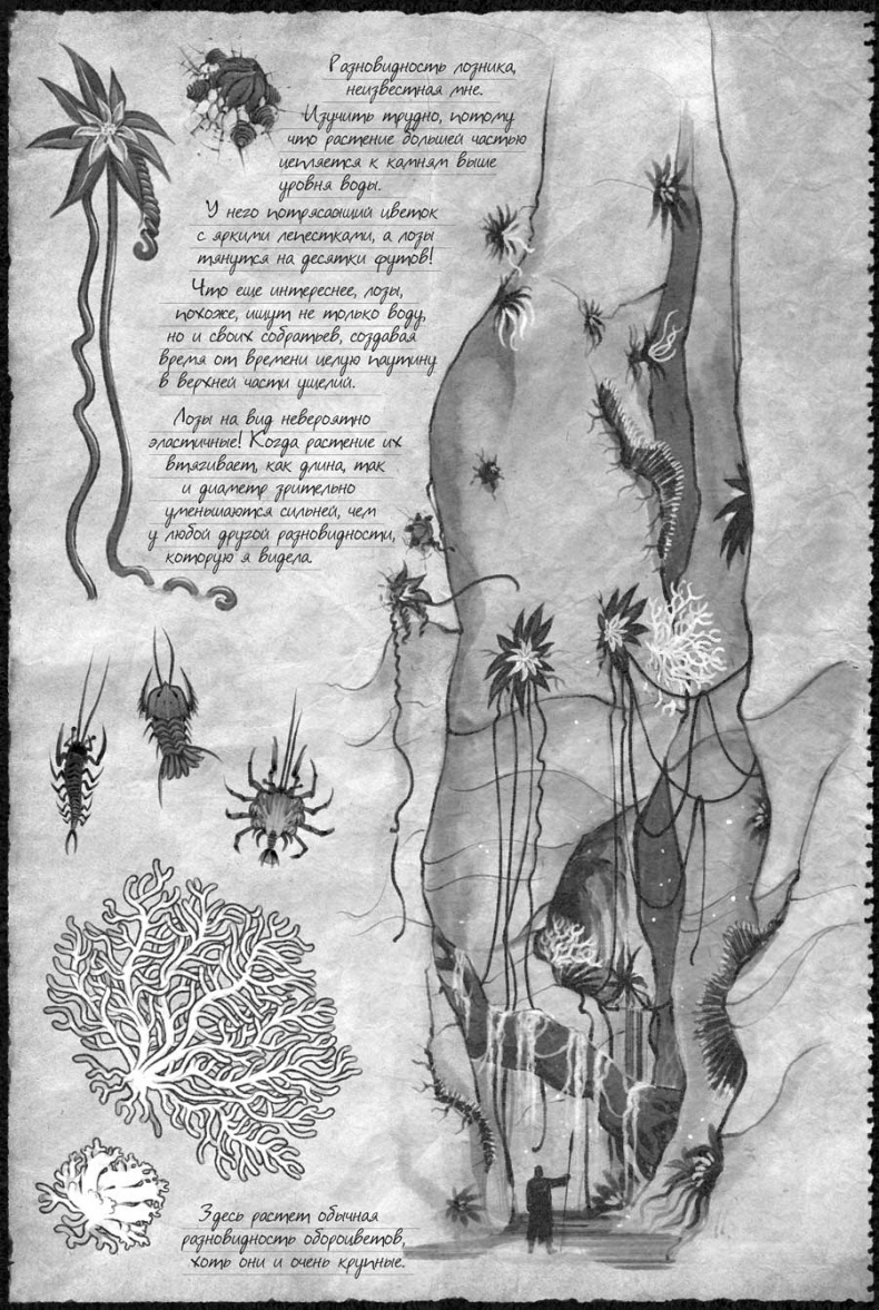 Иллюстрация к книге — Архив Буресвета. Кн. 2. Слова сияния [i_098.jpg]