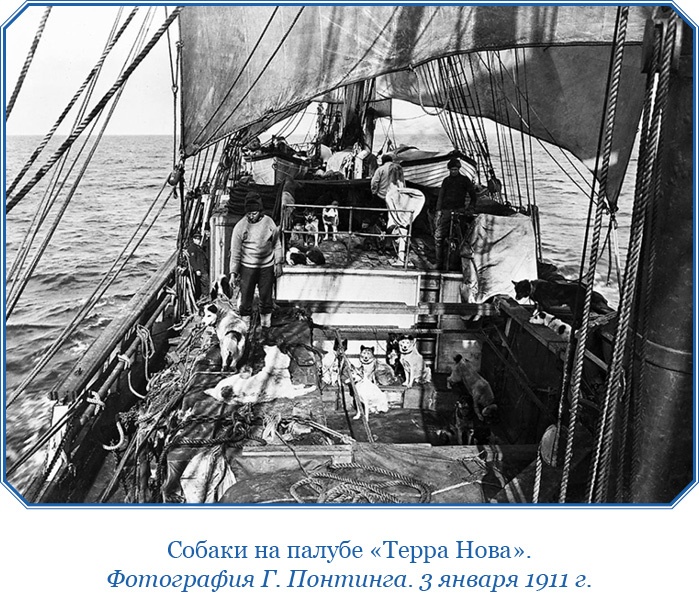 Иллюстрация к книге — Дневники полярного капитана [i_022.jpg]