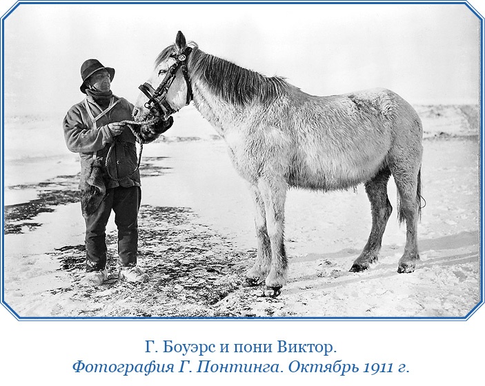 Иллюстрация к книге — Дневники полярного капитана [i_050.jpg]