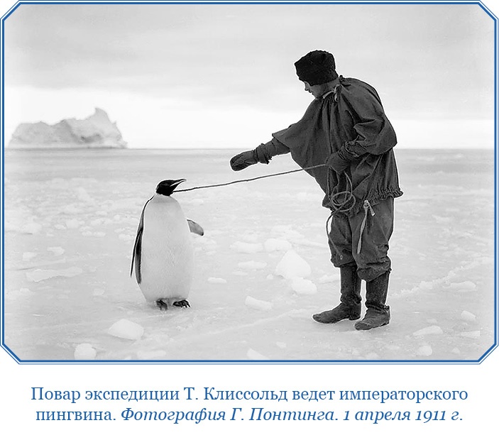 Иллюстрация к книге — Дневники полярного капитана [i_080.jpg]