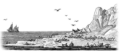 Иллюстрация к книге — Дневники полярного капитана [i_085.jpg]