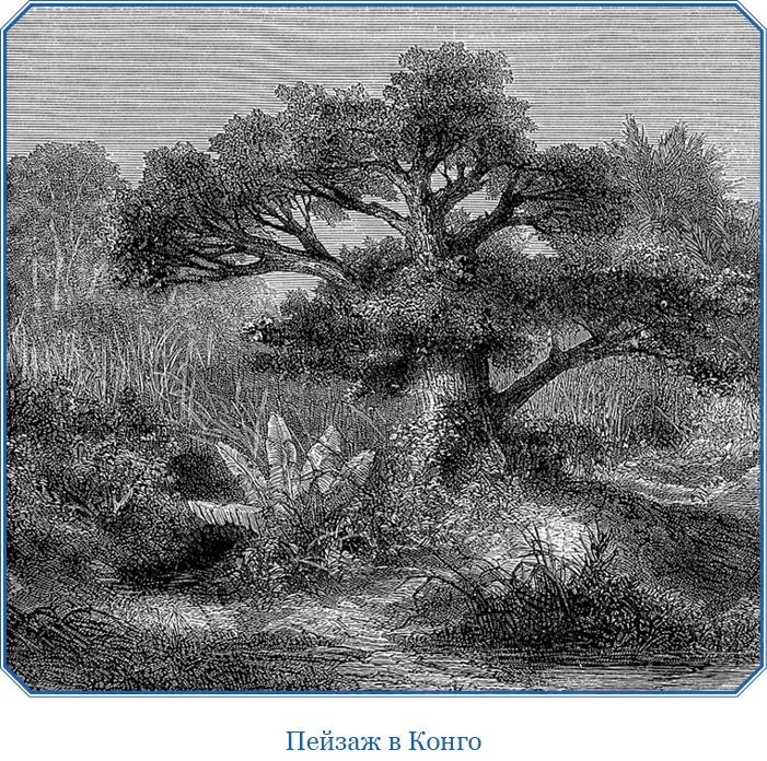 Иллюстрация к книге — В дебрях Африки [i_015.jpg]