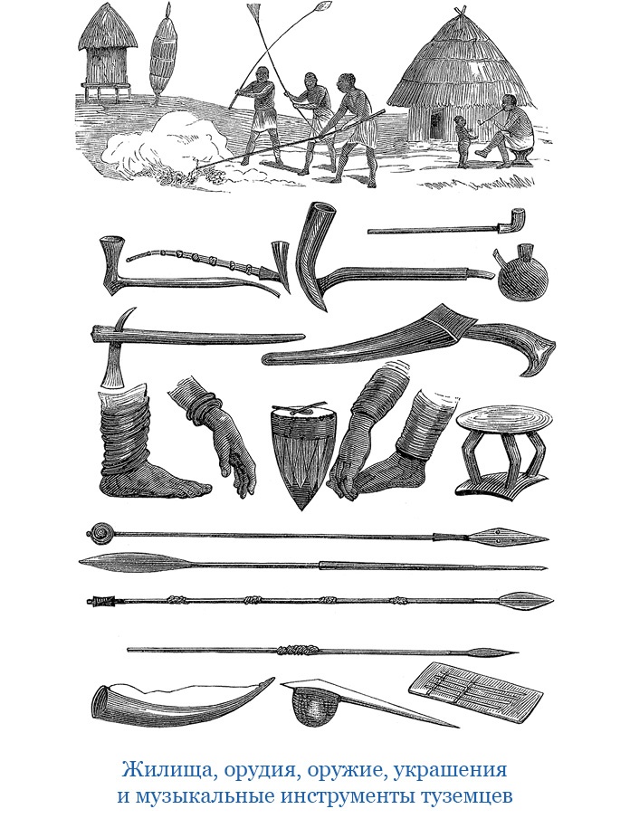 Иллюстрация к книге — В дебрях Африки [i_029.jpg]