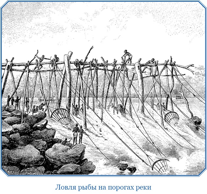 Иллюстрация к книге — В дебрях Африки [i_030.jpg]